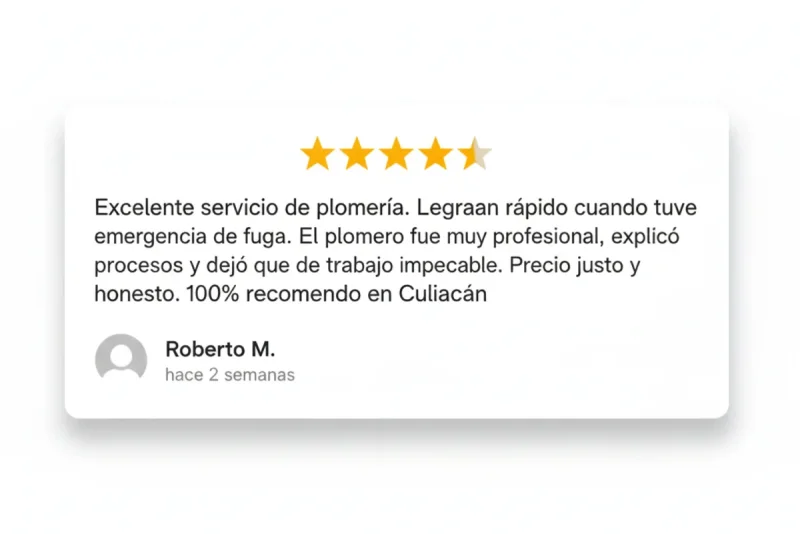 Reseña 5 estrellas Google - Servicio de emergencia plomería Los Mochis